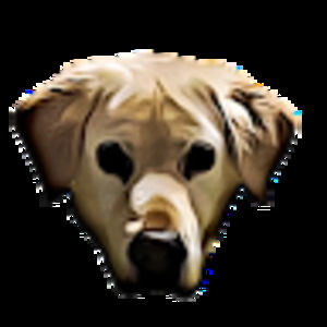 Meet your Posher, Zaffery